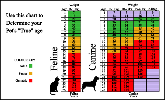 Screening Chart