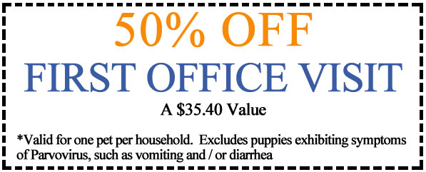 50% off First Office Visit *restrictions apply