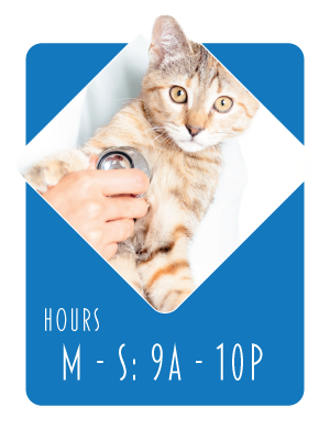 Hours Button
