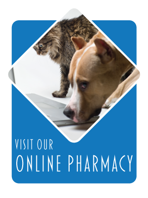 Visit Our Online Pharmacy Button