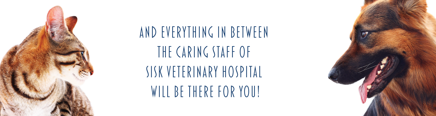 Our Staff will be here for you!