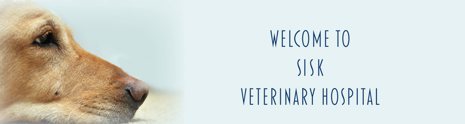 Welcome To Sisk Veterinary Hospital